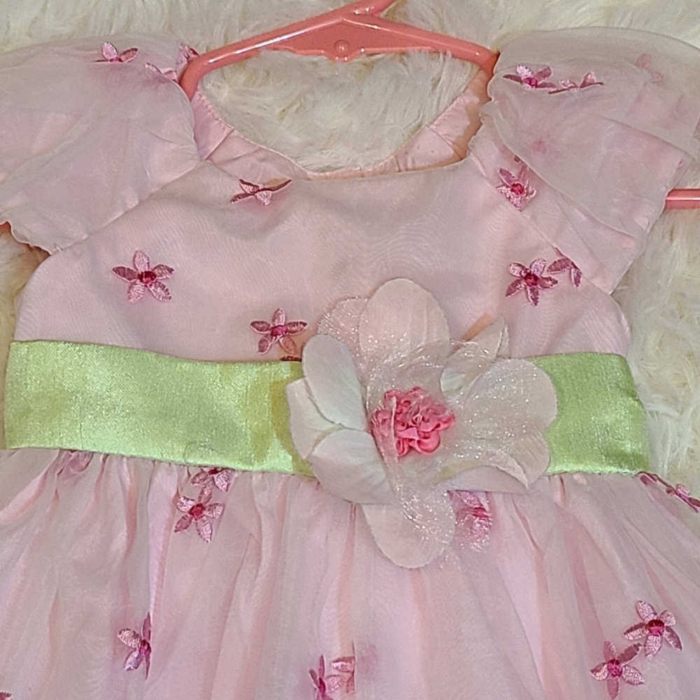 Jona Michelle Pink Green Embroidered Tulle Special Dress Floral Accents 12 Mo. - Picture 3 of 9